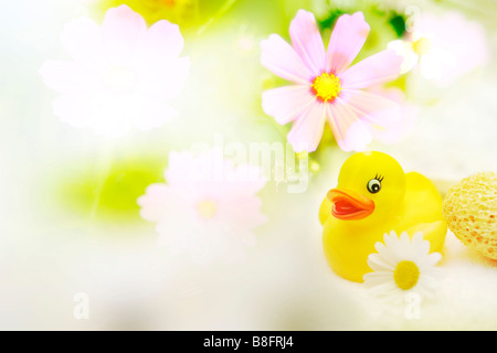 A yellow rubber duck among white flowers composite Stock Photo