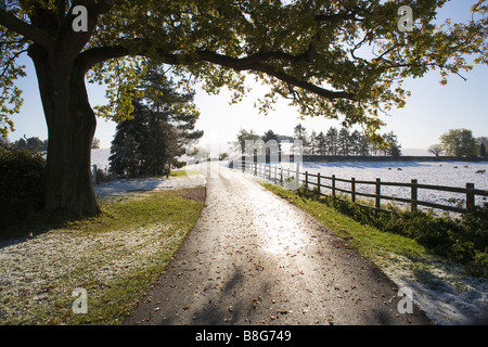 A country lane in late Autumn (October) with both a light covering of snow on the ground and fallen leaves Stock Photo