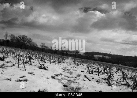 Field in snow black and white 2 Stock Photo