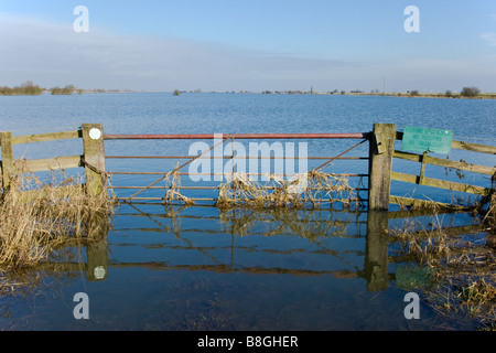 Gate and flood water on the Ouse Washes, Norfolk, England, UK Stock Photo