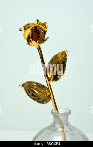 Closeup of a gold plated rose Stock Photo