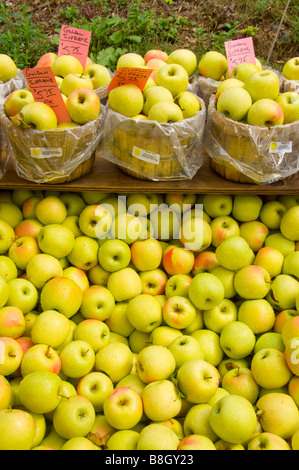 Baskets of green apples for sale at Alyce and Rogers Fruit Stand in Mount Tremper New York USA Stock Photo