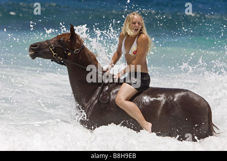 young woman riding on Arabian horse in water Stock Photo