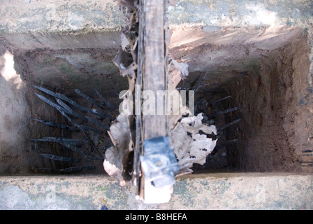 Man trap. Bamboo spikes dug into holes in the ground and then covered over were used to disable US troops during the war. Stock Photo