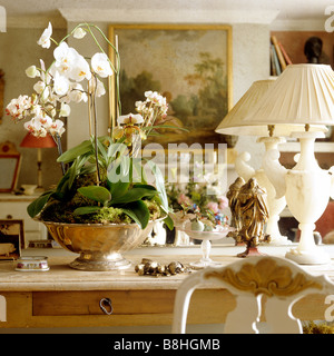 Close up of 19th century French provincial marble-topped table with orchid and alabaster table lamp and mirror behind Stock Photo