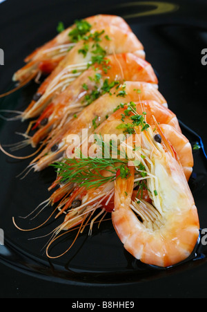 king prawns served on black plate in restaurant Stock Photo