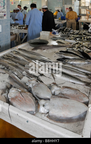 Fish displays and fishmonger vendors at work in Fujairah fish market Emirate of Fujairah on the east coast of UAE Stock Photo