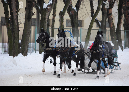 Russian Troika driving competitions in Moscow Stock Photo