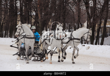 Russian Troika driving competitions in Moscow Stock Photo