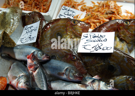 John Dory- Fish Market Rialto , Venice Stock Photo