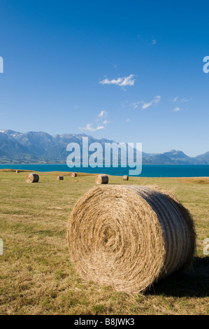 Bail of hay, taken in Kaikoura, New Zealand Mountains Stock Photo