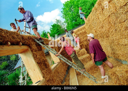 Volunteers erecting a strawbale building at the Centre for Alternative Technology Machynlleth Powys Mid Wales UK Stock Photo