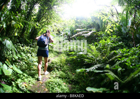 Woman hiking to the top of Mount Scenery on the Caribbean isle Saba in the Netherlands Antilles Stock Photo