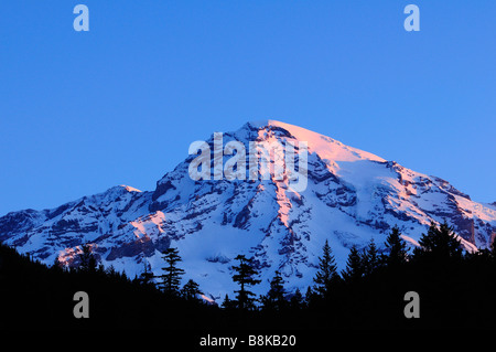 Sunrise light on Mount Rainier summit from Longmire Meadow Mount Rainier National Park Washington Stock Photo