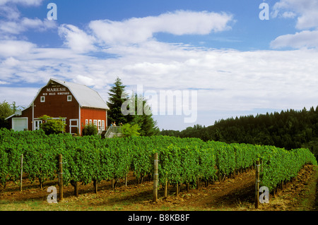 Maresh Red Hills Vineyard Dundee Hills Yamhill County Willamette Valley Oregon Stock Photo
