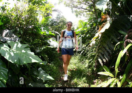 Woman climbing up Saba volcano Mt.Scenery and it's rainforest with huge green plants. Stock Photo