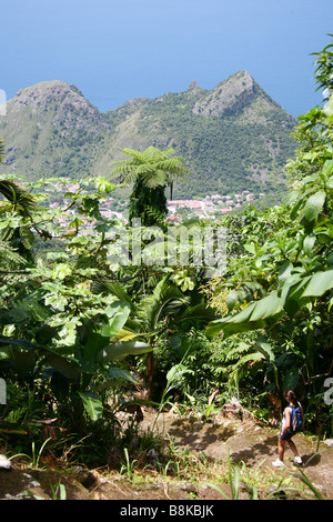 Woman climbing up Saba volcano Mt.Scenery and it's rainforest with huge green plants. Stock Photo