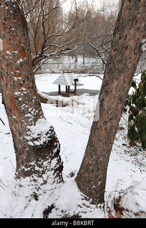 Looking trough a tree at the gazebo in Central Park Stock Photo