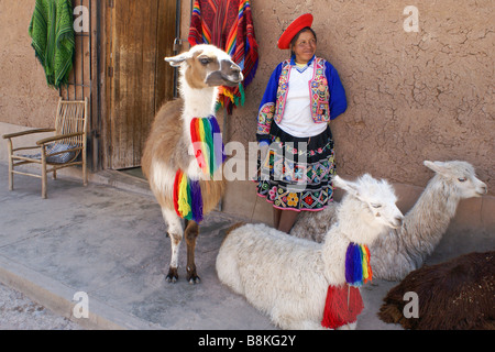 Quechua Indian girl with baby llama (cria), Cuzco, Peru Stock Photo - Alamy