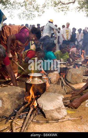 India Tamil Nadu Madurai Tidiyan village harvest festival village women cooking pongal Stock Photo