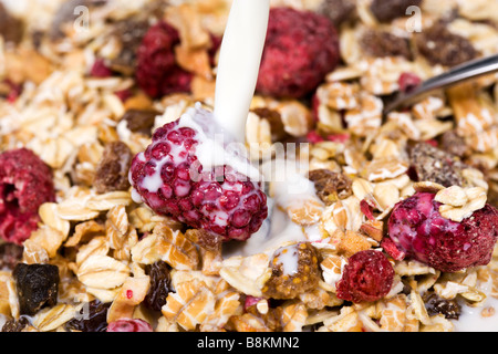 stream of milk splashing on raspberries in dried fruit muesli, close-up Stock Photo