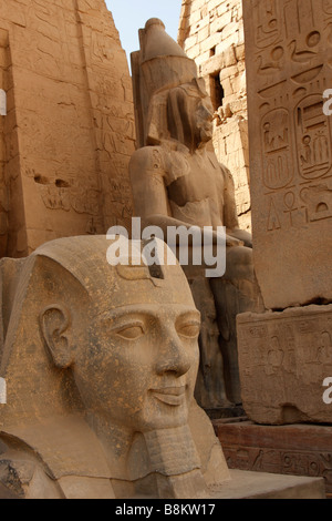 Luxor temple entrance, carved stone head of Ramses II with obelisk base and colossal statue of pharaoh in background, Egypt Stock Photo