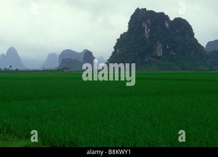 limestone karst peaks, between Yangshuo and Guilin, Guangxi Province, China, Asia Stock Photo