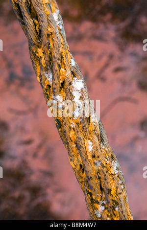 Old strong metal wire hawser over scratched rusty ship hull background covered with snowflakes. Stock Photo