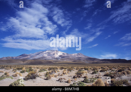 Isluga volcano and high altitude puna desert, Isluga National Park, Chile Stock Photo