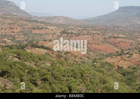 Agricultural terracing on slopes to reduce erosion in Mbooni Hills ...