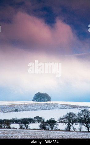A sunny snowy winter landscape view or scene on Overton Hill near Marlborough Wiltshire England UK Stock Photo