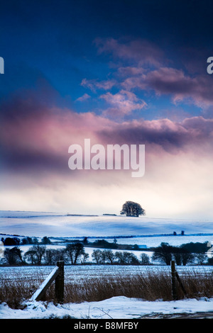 A stormy snowy winter landscape view or scene on Overton Hill near Marlborough Wiltshire England UK Stock Photo