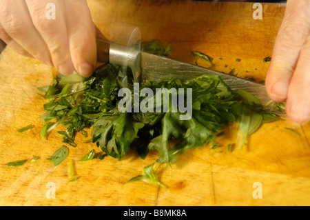 Chopping parsley Stock Photo