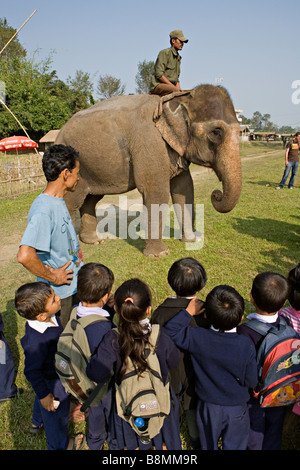 Nepali kids on excursion visiting Elephant in Royal Chitwan National Park Nepal Stock Photo