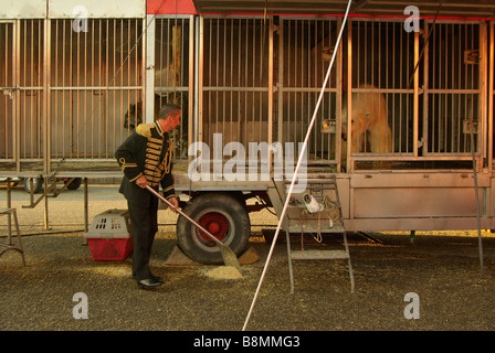 Trainer looks at  a caged polar bear in a circus in Italy Stock Photo