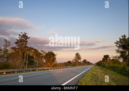 The Tamiami Trail (US 41) at sunset in the Big Cypress National Preserve, Florida Everglades, Florida, USA Stock Photo