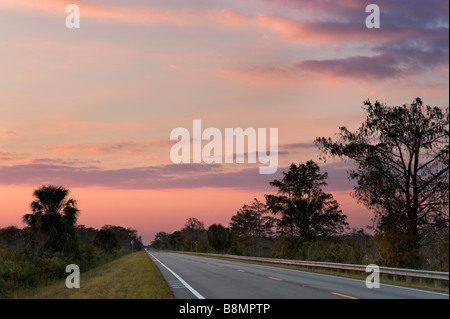 The Tamiami Trail (US 41) at sunset in the Big Cypress National Preserve, Florida Everglades, Florida, USA Stock Photo