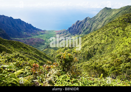 View of the Kalalau Valley and the Pacific ocean from Kokee State Park Kauai Hawaii USA Stock Photo