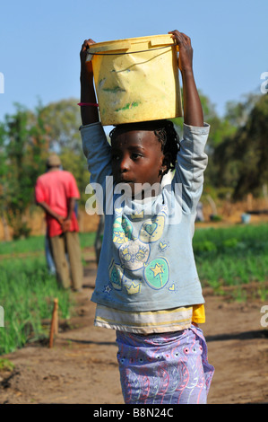 Child carries a bucket of water on her head, The Gambia, West Africa Stock Photo