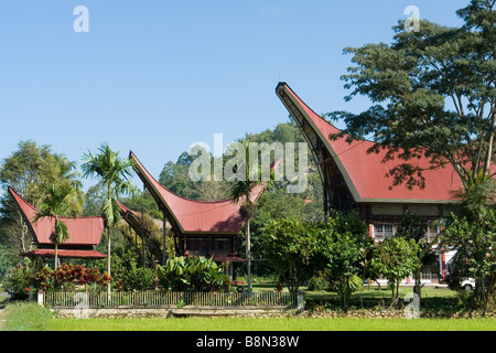 Torjan Home Tongkonan houses, traditional Torajan buildings, Tana Toraja, Sulawesi ...