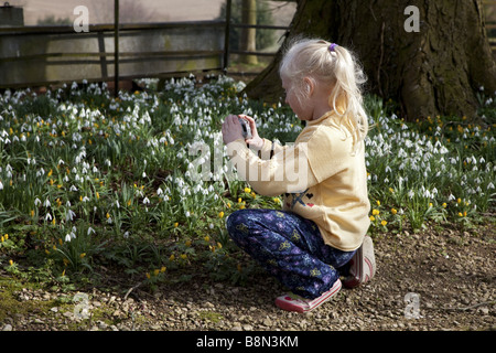 Young blonde haired girl taking a photo of common snowdrops on a spring morning. Stock Photo