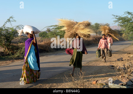 indian woman in rural countryside carrying produce and goods on their heads walking on a village road Stock Photo