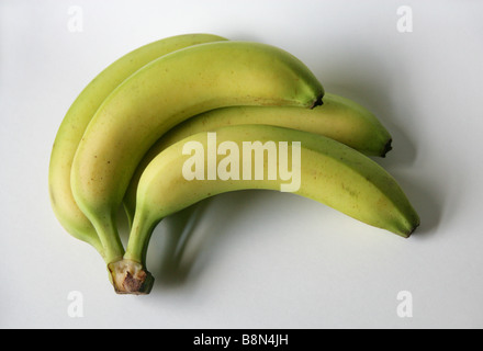 Bunch of Bananas Stock Photo