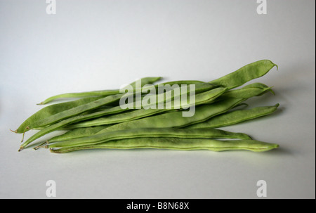 Runner Beans, Phaseolus coccineus, Fabaceae Stock Photo