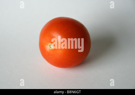 Tomato, Solanum lycopersicum syn Lycopersicon lycopersicum Stock Photo