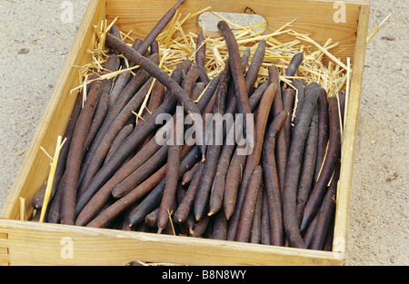 Manna in wooden box Stock Photo