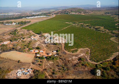 Aerial view of the Lowveld countryside showing orange and litchi orchards Stock Photo