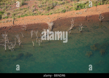 Aerial view of dead trees on the Pongola dam shoreline Stock Photo