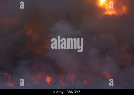 Thick clouds of grey smoke during raging veld fire in Tembe Elephant Park Stock Photo