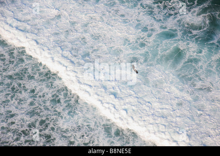 Aerial view of fish eagle flying over coastal breakers Stock Photo